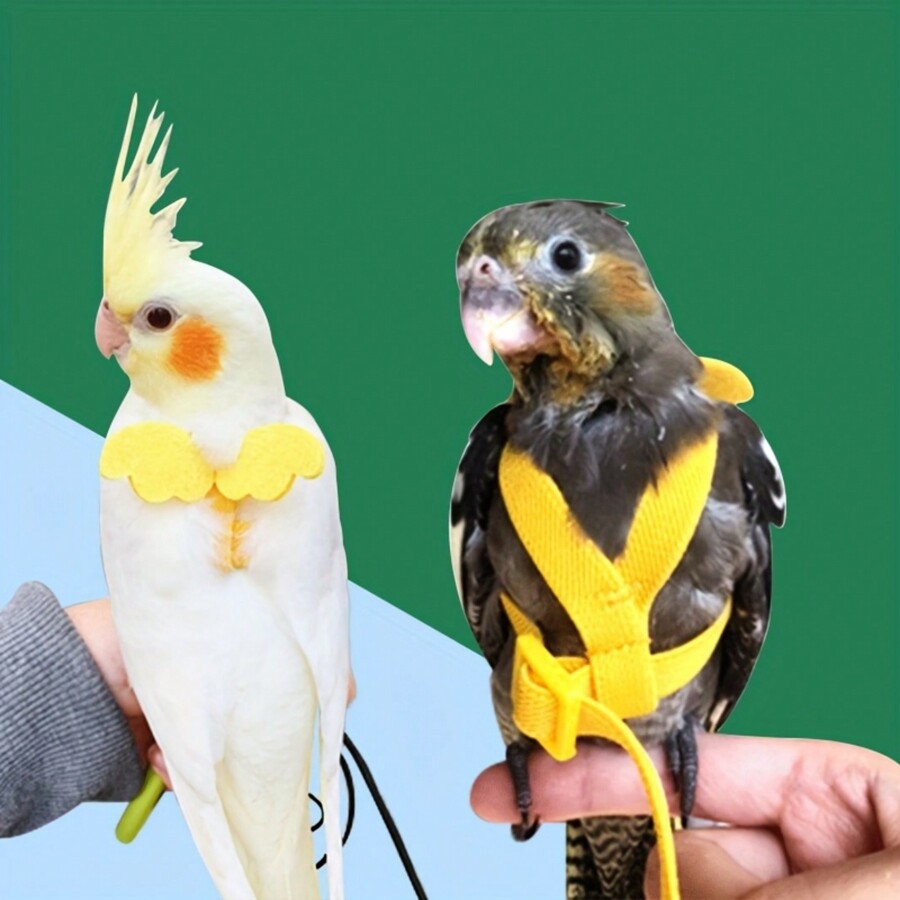 Parrot Bird Harness Training Leash Design Anti-Bite Bird Nylon Rope ...