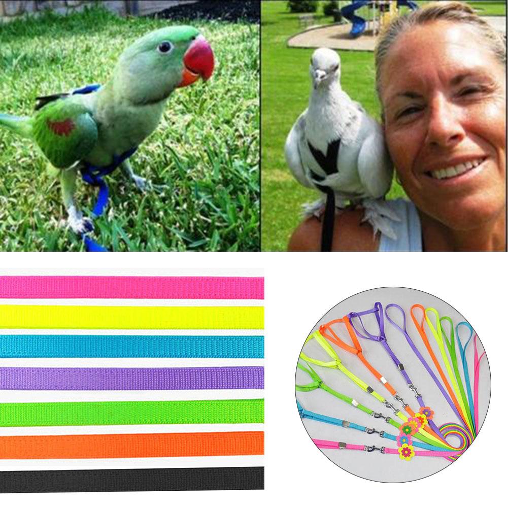 Bird Leash Parrot Harness Leash Parrot Anti-bite Birds Harness Outdoor ... Bird Leash Parrot Harness Leash Parrot Anti-bite Birds Harness Outdoor ...
