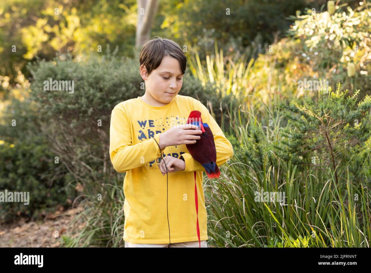 Bird/Parrot Harness - Everyday Pet Cages Bird/Parrot Harness - Everyday Pet Cages