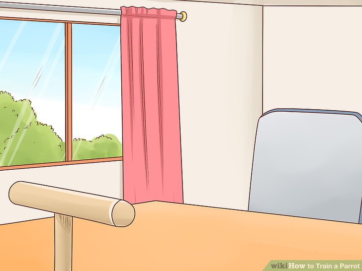 How to Train a Parrot: 15 Steps (with Pictures) - wikiHow