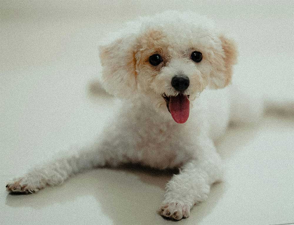 How To Teach Division To 3rd Graders How To Teach Division To 3rd Graders