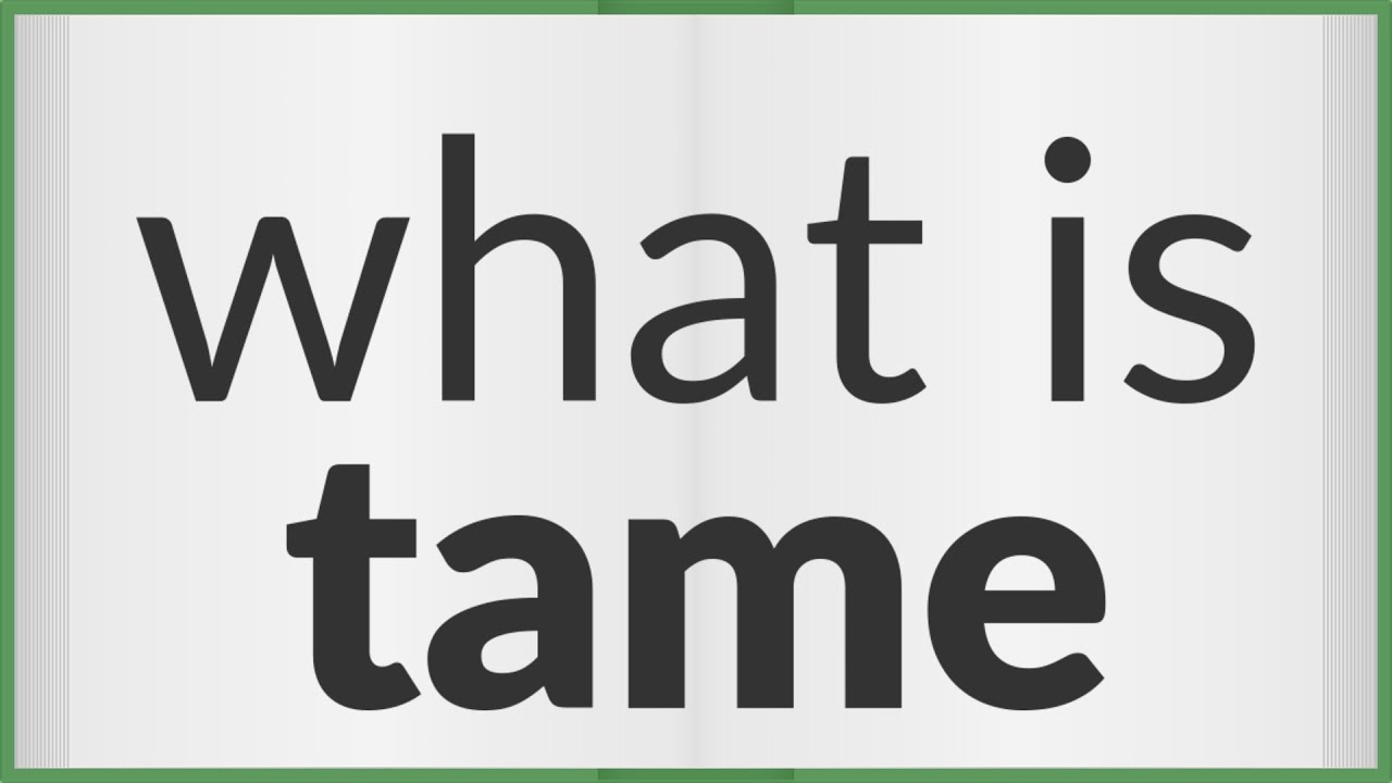 Tame | LinkedIn Tame | LinkedIn