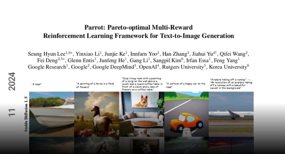 25 Ways To Keep Your Parrot Entertained (Revealed!) - Parrot Website 25 Ways To Keep Your Parrot Entertained (Revealed!) - Parrot Website